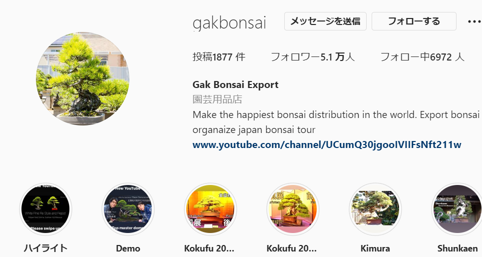 https://www.instagram.com/gakbonsai/