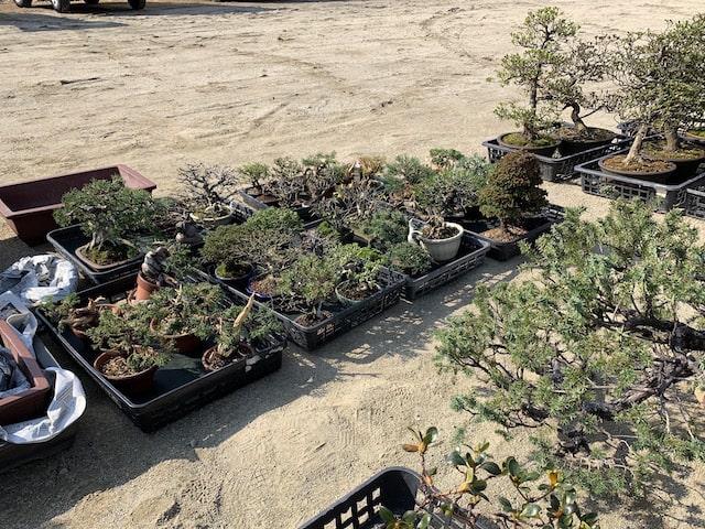 各地の競りへの参加